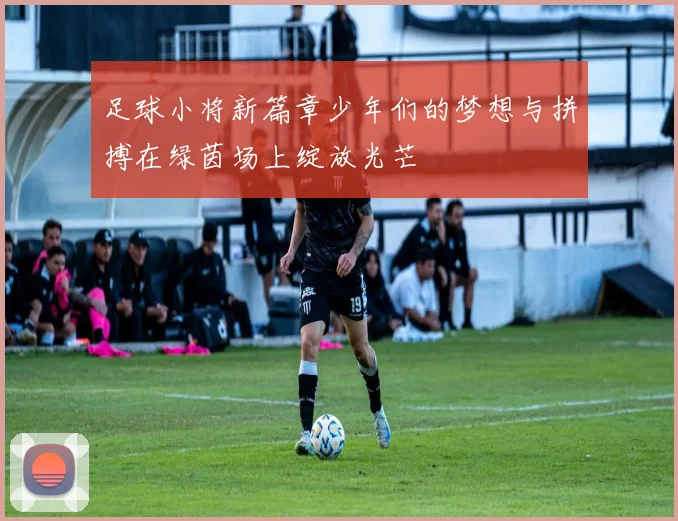 足球小将新篇章少年们的梦想与拼搏在绿茵场上绽放光芒
