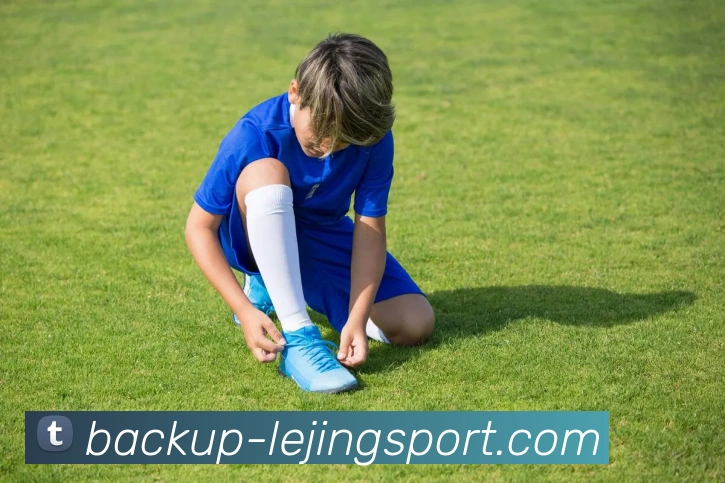 LEJING SPORTS官方平台生态图